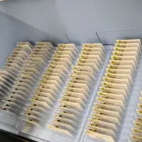 gs1-79 8283565859 o.jpg