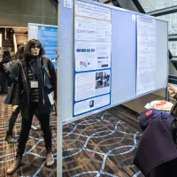 gs11 credit martin lipman 0135 37880494184 o.jpg