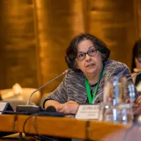 gs12 creditCONICYT-da-2 25150371448 o.jpg