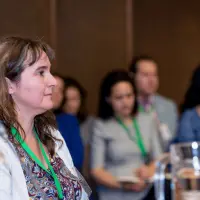 gs12 creditCONICYT 3324 25144110058 o.jpg