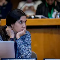 gs12 creditCONICYT 3471 24150872127 o.jpg