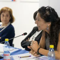 gs12 creditCONICYT 38973109332 o.jpg