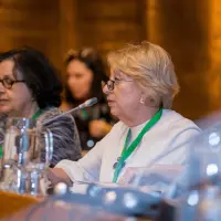 gs12 creditCONICYT-da-2 24156917057 o.jpg