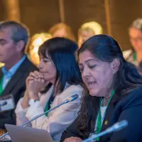 gs12 creditCONICYT 3437 38978828272 o.jpg