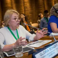 gs12 creditCONICYT-da-2 38133994935 o.jpg