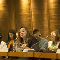 gs12 creditCONICYT-da-2 27242486929 o.jpg