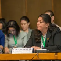 gs12 creditCONICYT 3370 25144102868 o.jpg