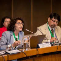 gs12 creditCONICYT-da-1 25144091018 o.jpg