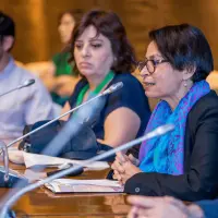 gs12 creditCONICYT-da-2 38134791995 o.jpg