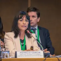 gs12 creditCONICYT 3418 25144099318 o.jpg