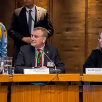 gs12 creditCONICYT 3221 24150898807 o.jpg