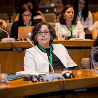 gs12 creditCONICYT 3506 24150869117 o.jpg