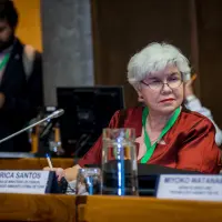 gs12 creditCONICYT 3475 25144096038 o.jpg