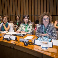 gs12 creditCONICYT-da-2 38134268205 o.jpg