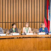 gs12 creditCONICYT-da-2 25150295148 o.jpg