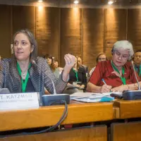 gs12 creditCONICYT 3344 38128111545 o.jpg