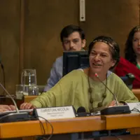 gs12 creditCONICYT 3348 38128111205 o.jpg