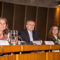 gs12 creditCONICYT-da-2 27244734029 o.jpg