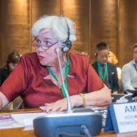 gs12 creditCONICYT 3377 38128105455 o.jpg