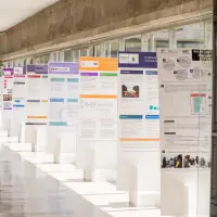 gs12 creditCONICYT-da-2 25150652078 o.jpg