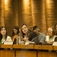 gs12 creditCONICYT-da-2 27242652499 o.jpg