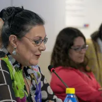 gs12 creditCONICYT 25138602338 o.jpg