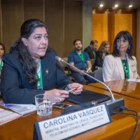 gs12 creditCONICYT 3365 25144103338 o.jpg