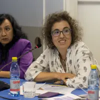 gs12 creditCONICYT 38122306635 o.jpg