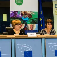 gs2 14426756070 o.jpg