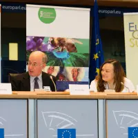 gs2 14590404906 o.jpg