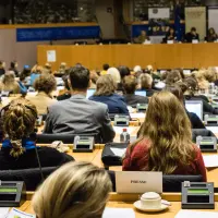 gs2 14611140964 o.jpg