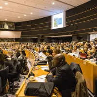 gs2 14611107254 o.jpg