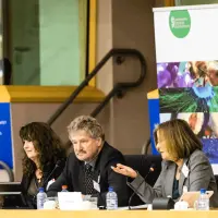 gs2 14426881877 o.jpg