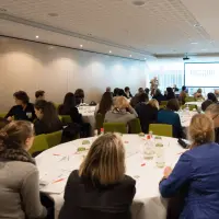 gs2 14426869208 o.jpg