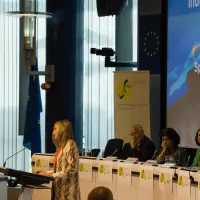 gs4 14425082940 o.jpg